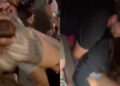 A chaotic scene of people at a concert, with individuals in a scuffle.