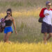 Harry Styles and his fiancée Zoë Kravitz in Hampstead Heath on June 25, 2026Credit: BACKGRID