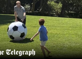 Harry and Archie have a kickabout as Meghan shares new Sussex family photos