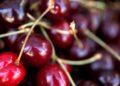 How popular Bing cherries got their name in 19th-century Oregon | Entertainment