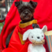 I Took My Dog to See 'Supergirl' and It Changed the Movie for Me