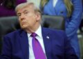Trump White House Sued for Changing Lincoln Memorial Reflecting Pool Without Mandatory Procedures