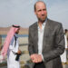Prince William's Earthshot Charity Reported to Watchdog Group Following Epstein Ties Revelation