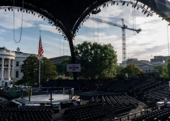 Lights! Camera! Cage match! The White House lawn's Octagon is ready for Trump's 80th birthday bash | Entertainment