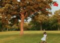 Madison photographer Amadou Kromah celebrates Black beauty | Arts & Culture