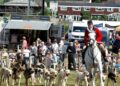 Monmouthshire Showground applies for events licence