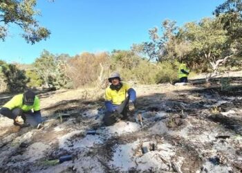 Neighbourly love for Canning River wetlands