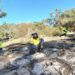 Neighbourly love for Canning River wetlands