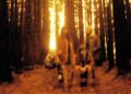 aussie bands - fountain lakes 2026