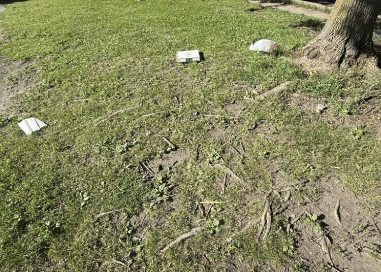 Noisy Electronic Music Fest Riles Lincoln Park Neighbors, Could Prompt Future Ward-Wide Ban