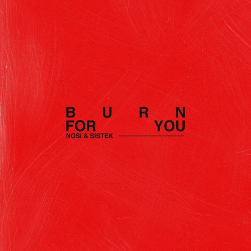 Nosi & Sistek Release New Single “Burn For You” via Tomorrowland Music