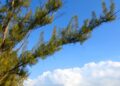 Now is the time to escape to Key West | Entertainment