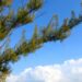 Now is the time to escape to Key West | Entertainment