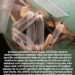 A heartfelt tribute text overlaying an image of worn ballet shoes tied with ribbons.
