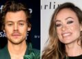 Harry Styles and Olivia Wilde Enjoy Concert Date Amid Salad Dressing Drama