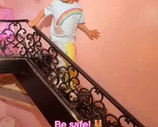 Phoenix in the doggy mansionCredit: Paris Hilton/Instagram