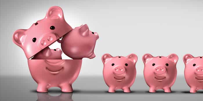 business-finance-diversification-money-piggy-bank-news