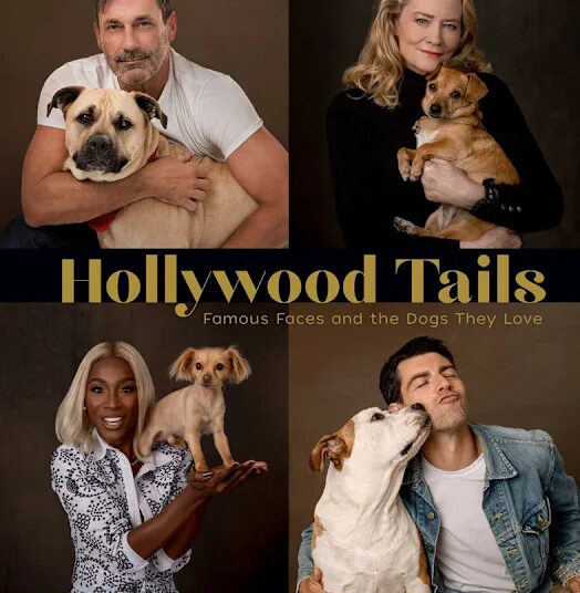 The cover of