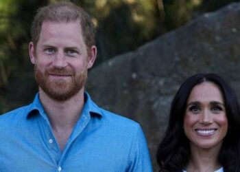 Prince Harry & Meghan Markle Scored a Royal Deal They Wanted — Source
