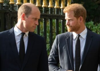 Prince Harry and Meghan Markle's UK Visit Is a "Source of Deep Irritation" for Prince William