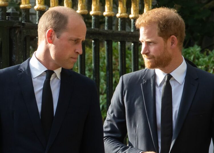 Prince Harry and Meghan Markle's UK Visit Is a "Source of Deep Irritation" for Prince William