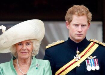 Prince Harry’s Return May Not Include One Key Royal — Expert