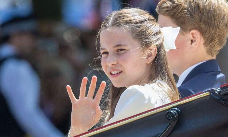 Alex Jenkinson allegedly researched Princess Charlotte online. By: MEGA