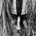 ROB ZOMBIE UNLEASHES NEW MUSIC VIDEO FOR ‘TARANTULA’ – Metal Planet Music