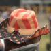 Red, White and Boom Fest 2026 brings crowds, music and fireworks to Fort Bragg