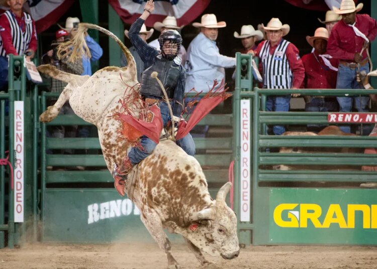 Reno Rodeo set to kick off June 17. Here's how to get tickets