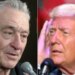 Robert De Niro Delivers A Trump Jab So Obvious He Didn't Need To Name Him