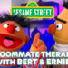 Roommate Therapy with 'Sesame Street's Bert and Ernie