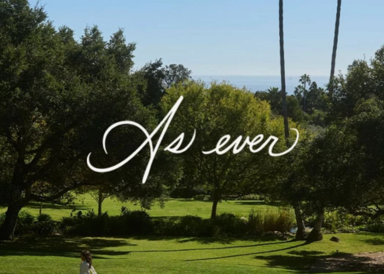 lawn with two palm trees and as ever logo on top