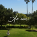 lawn with two palm trees and as ever logo on top