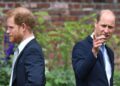 Royal Family: Prince Harry 'blames Prince William' for snub from cousin's wedding | Royal | News