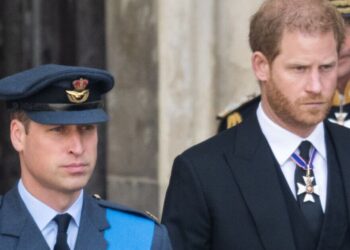 Royal Family RECAP: Devastating reality about William and Harry issued | Royal | News