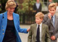 Royal Fans Believe Princess Diana Would Be Proud of Prince William's Family Role