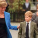 Royal Fans Believe Princess Diana Would Be Proud of Prince William's Family Role