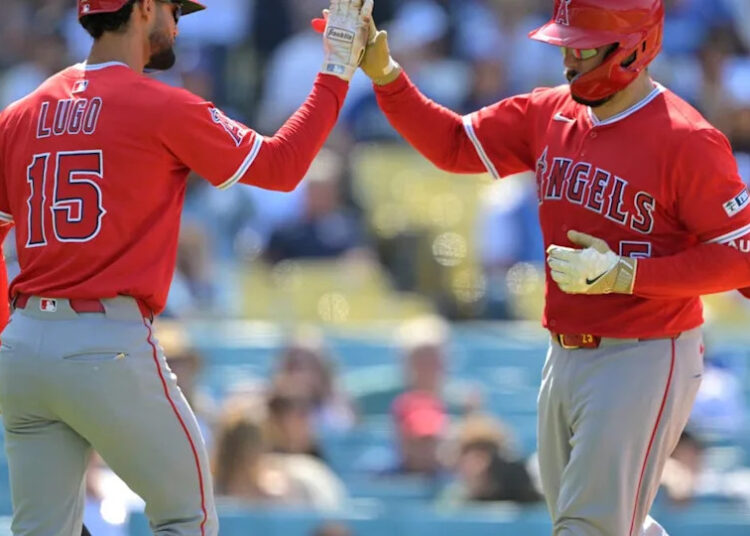 Los Angeles Angels outfielder <a class="link " href="https://sports.yahoo.com/mlb/players/11737/" data-i13n="sec:content-canvas;subsec:anchor_text;elm:context_link" data-ylk="slk:Matthew Lugo;sec:content-canvas;subsec:anchor_text;elm:context_link;itc:0" data-yga="{"yLinkElement":"context_link","yModuleName":"content-canvas","yLinkText":"Matthew Lugo","ySubModuleName":"anchor_text","yHasCommerce":false}">Matthew Lugo</a> (15).© Jayne Kamin-Oncea-Imagn Images