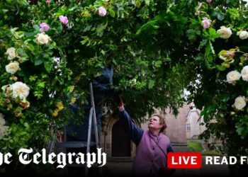Royals to attend Peter Phillips and Harriet Sperling wedding