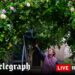 Royals to attend Peter Phillips and Harriet Sperling wedding