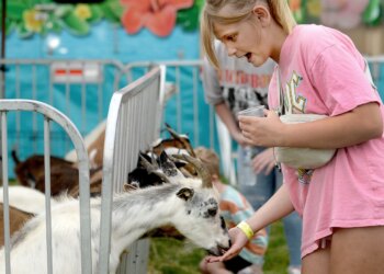 Sangamon County Fair dates, concerts and ticket details