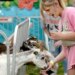 Sangamon County Fair dates, concerts and ticket details
