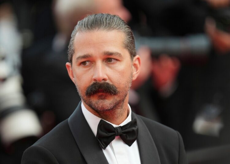 Shia LaBeouf gets probation after pleading guilty to punching bargoers