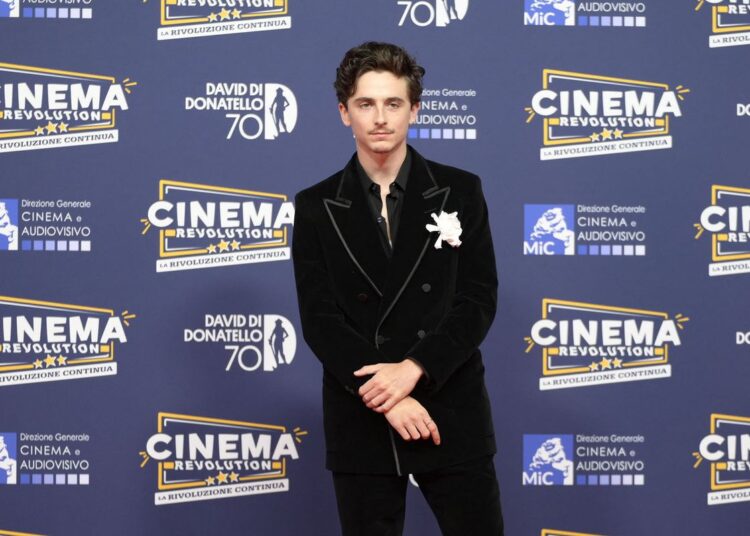 Simone Cromer, the woman behind boundary-crossing Timothee Chalamet stan account, Club Chalamet, is becoming internet famous in her own right