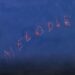 Image may contain Fireworks Animal Fish Sea Life and Outdoors