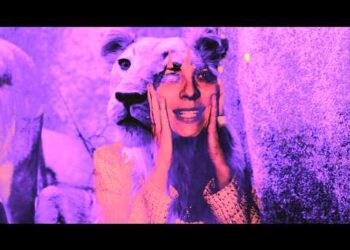 Soft Palms talk new album and survival guide for DIY musicians