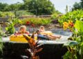 Things to do at Schlitterbahn and in New Braunfels, Texas | Entertainment/Life