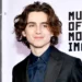 Timothée Chalamet: French Boy to Frat Boy – The Cub