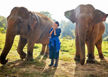 Tracee Ellis Ross in season 2 of 'Solo Traveling'Credit: Matt Sayles/The Roku Channel